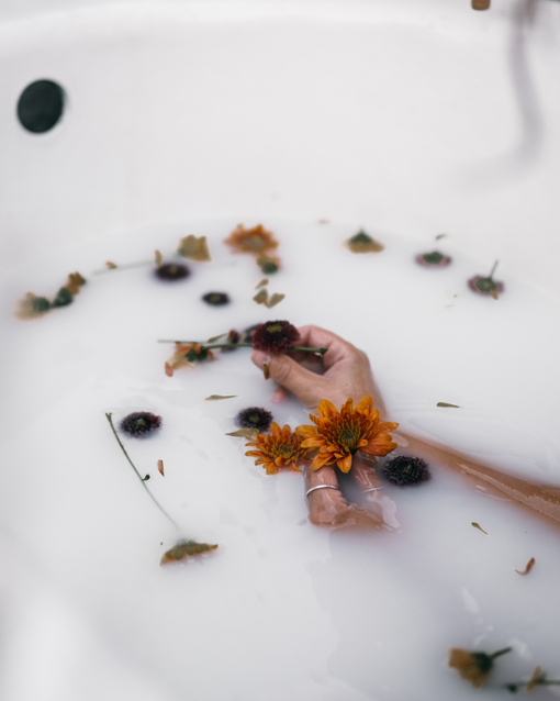 The Balancing Act of Well-Being: <br>Mental, emotional, spiritual and social.