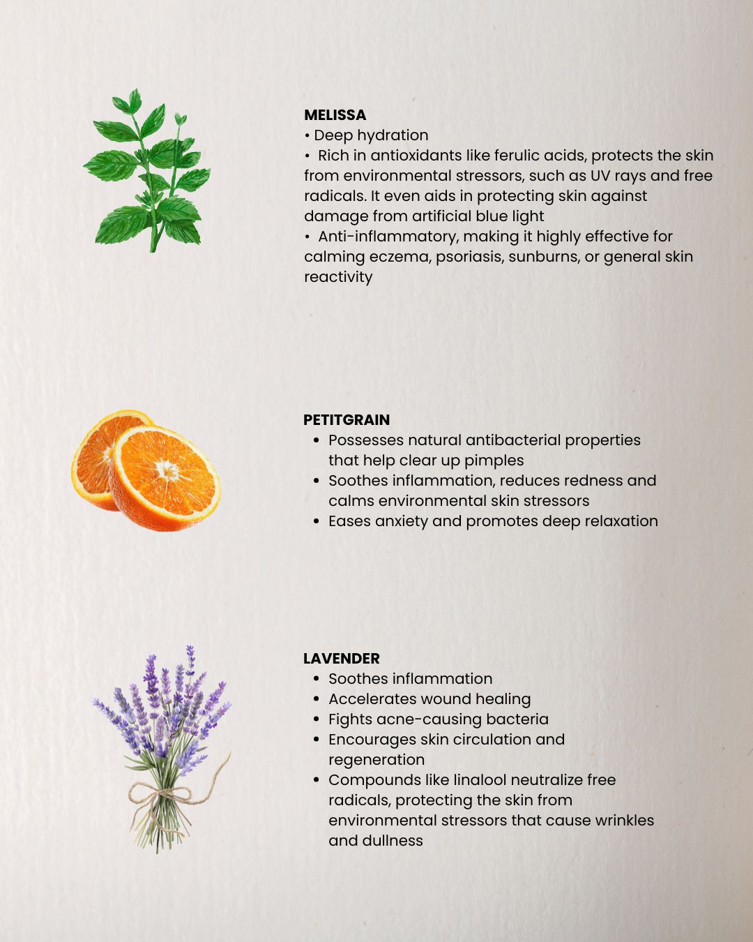 RELAX – Face and Body Oil as an anti-stress means