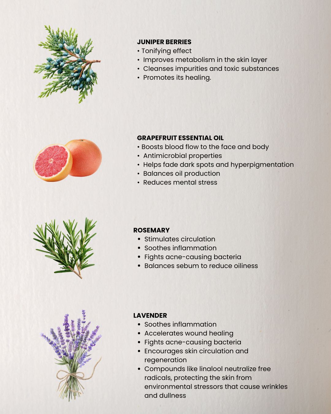 STIMUL - Face & Body Oil for detox and elasticity