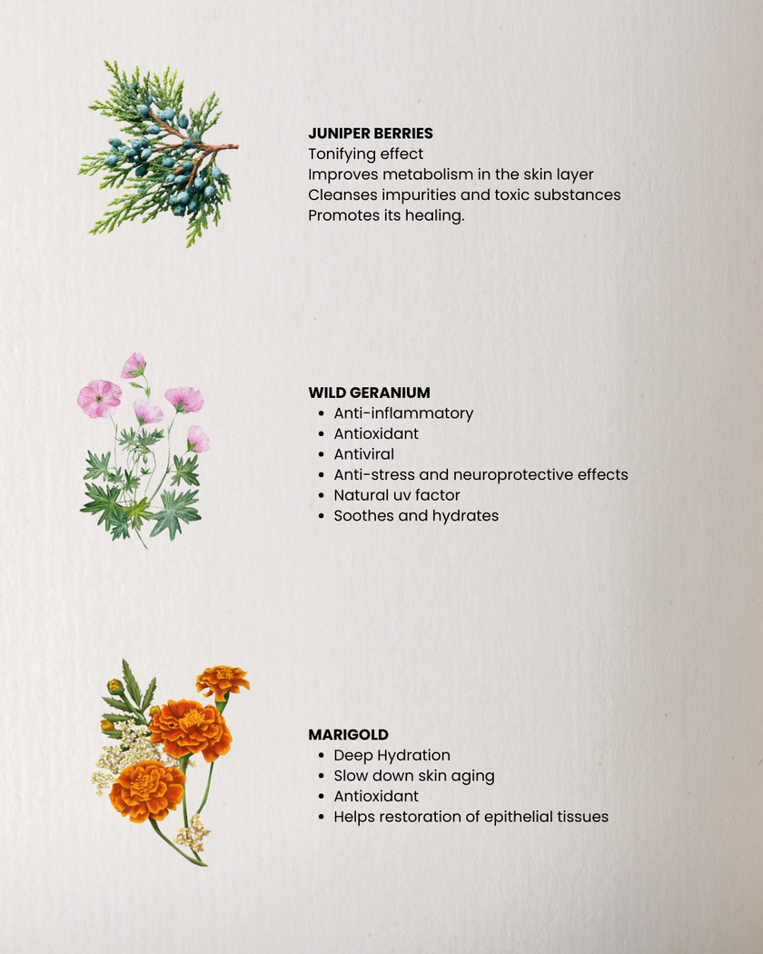 SUMMER Face & Body Oil