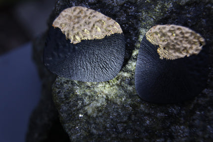 Leucothea Reef Earrings