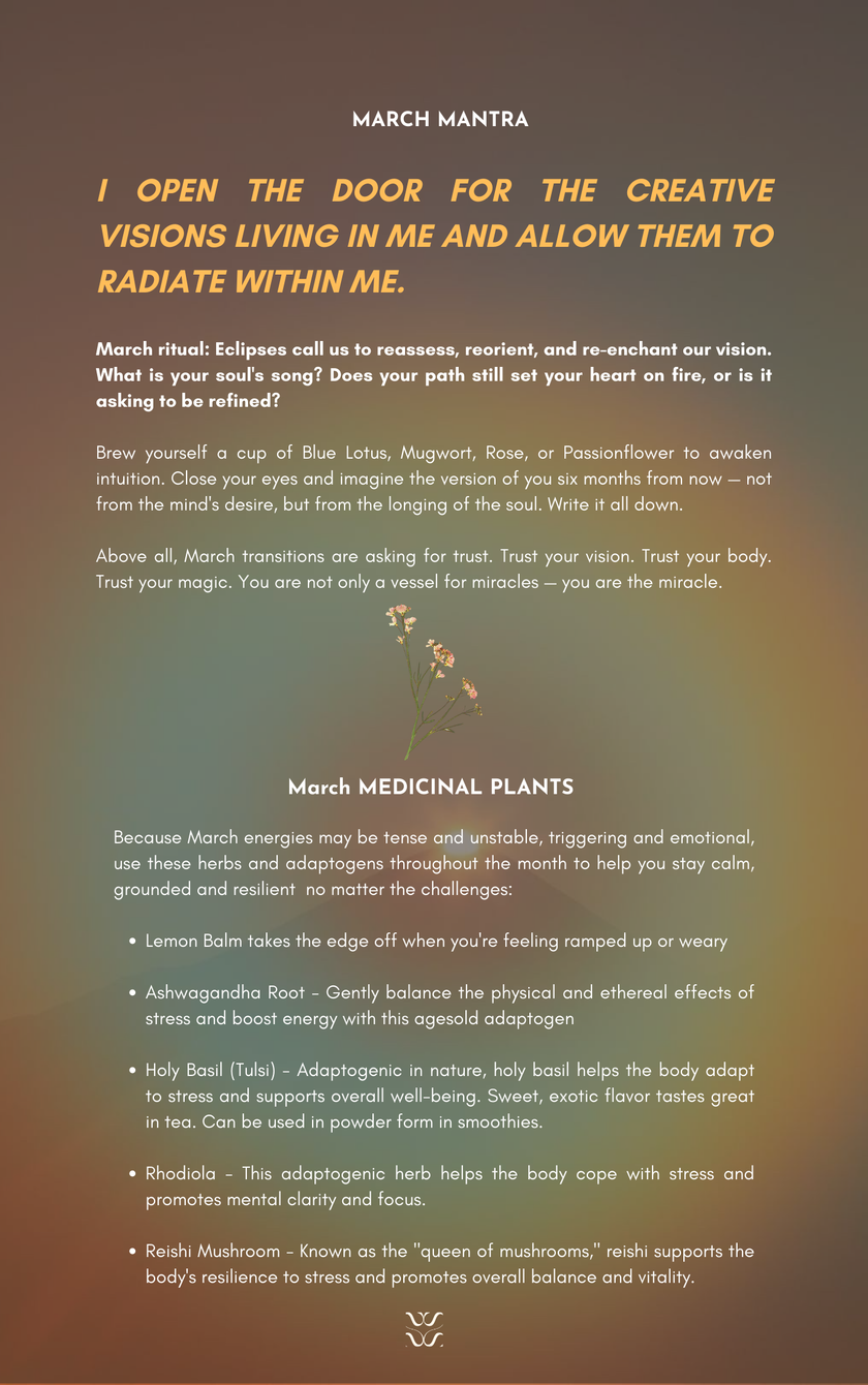 2026 Cosmic Wellness Almanac