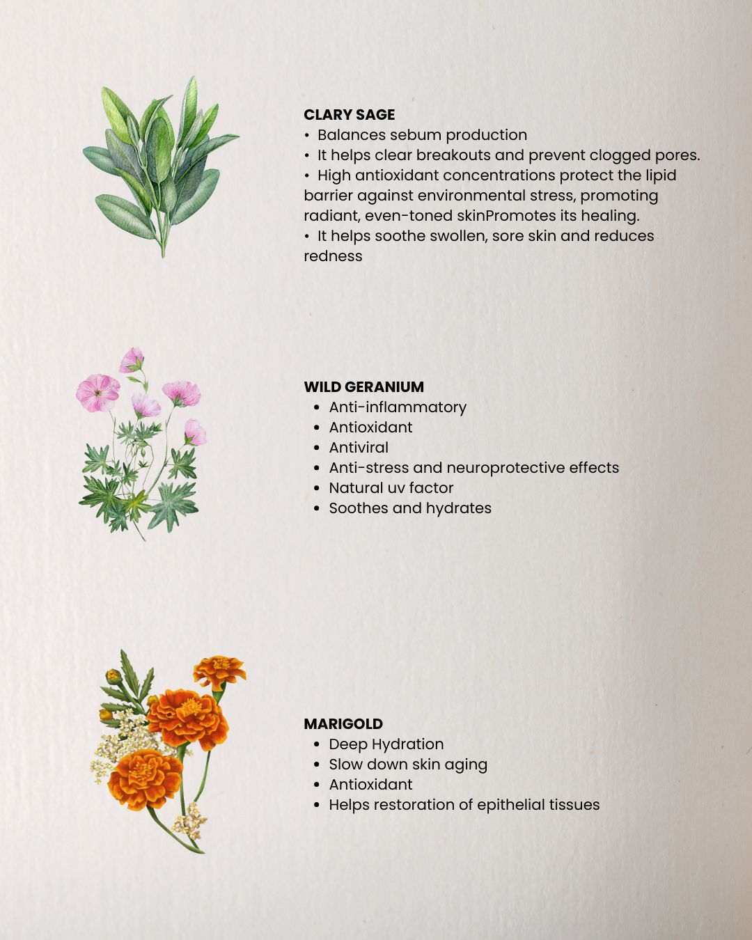 JOY Face & Body Oil with Bulgarian Zdravetz and Clary Sage essential oils for hydrated, radiant skin, improved elasticity and emotional wellbeing.