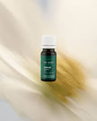 100% certified organic Yarrow essential oil (Achillea millefolium) in a 10ml pharmaceutical-grade glass bottle, steam-distilled from wild yarrow flowers and stems.
