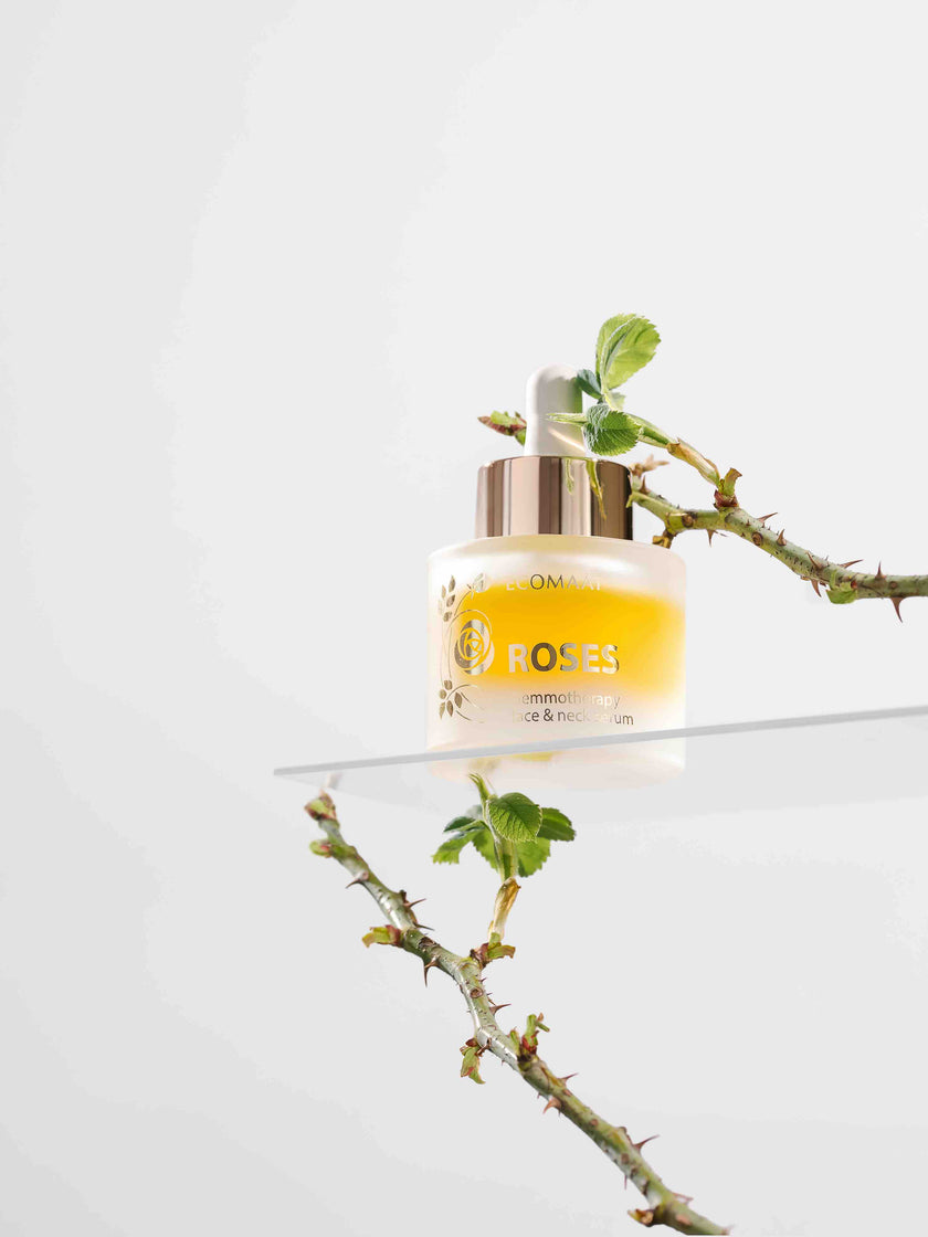 Botanical texture of ROSES Gemmotherapy Face & Neck Serum by Soul&Sage, intensive regenerative treatment for face and neck, available at Soul&Sage