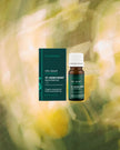 St. John’s Wort oil 10% in organic jojoba oil derived from Hypericum perforatum, used for soothing irritated, damaged and sensitive skin in a 10ml glass bottle.