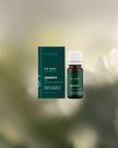 Zdravetz essential oil 10% diluted in organic jojoba oil, derived from wild geranium (Geranium macrorrhizum), in a 10ml pharmaceutical glass bottle for skincare use.